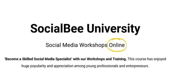 SocialBee – SocialBee University
