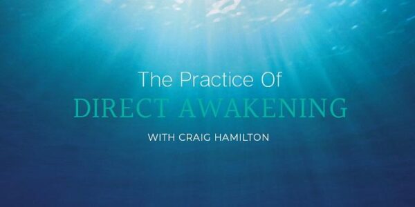 craig-hamilton-practice-direct-awakening