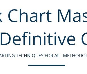 Feibel Trading – Tick Chart Mastery