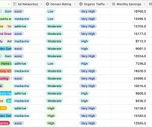 Ian Nuttall - Niche Site Metrics