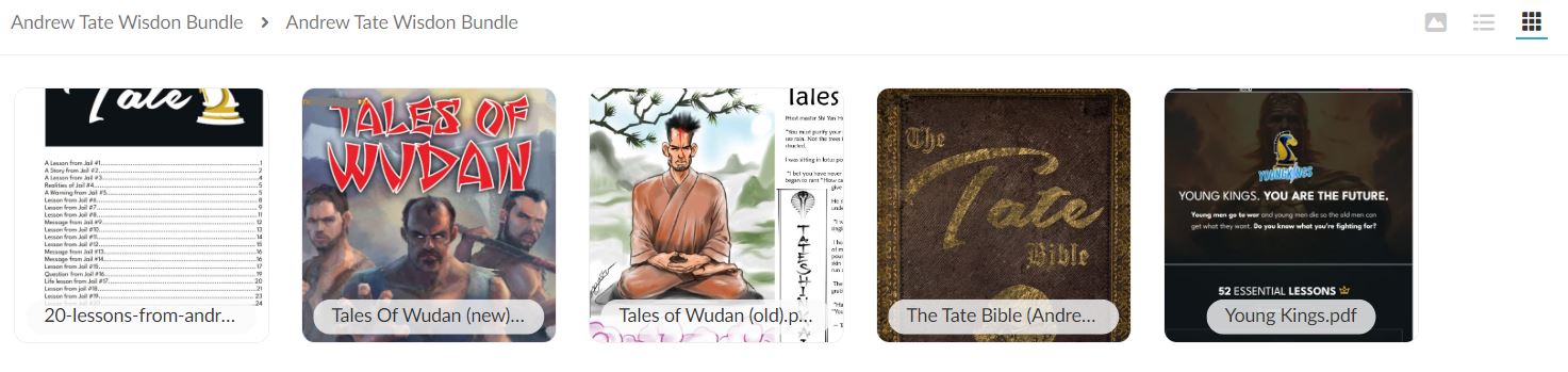 andrew-tate-wisdom-bundle1