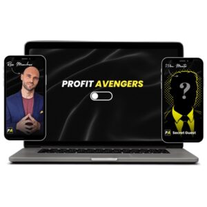 profit-avengers-2024-november-2024